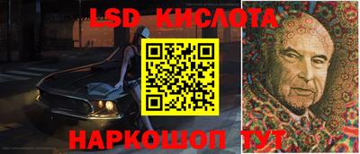 прущие грибы Гагарин