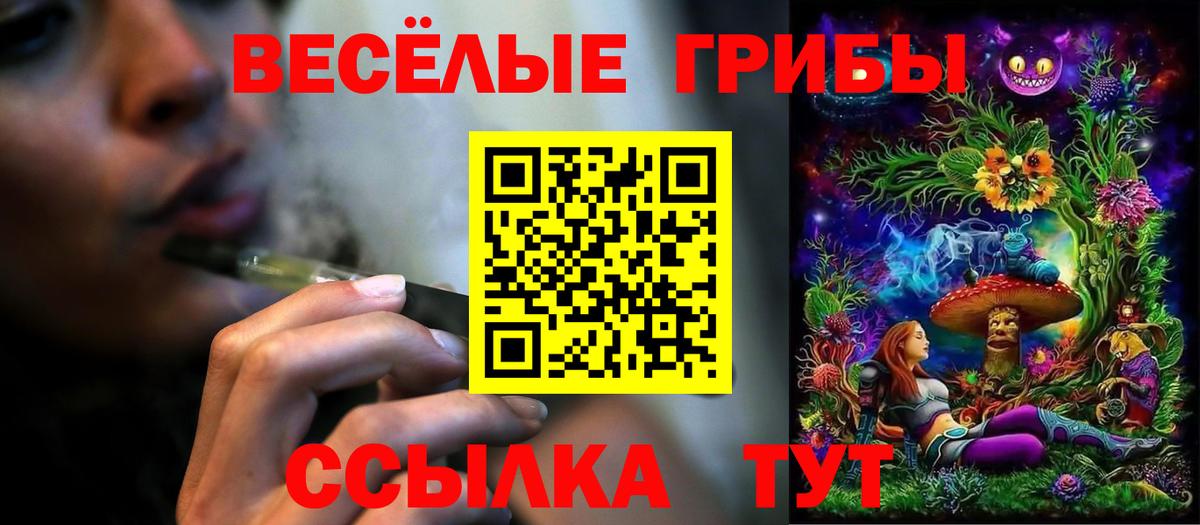 Миллерово  Галлюциногенные грибы прущие грибы  Вход с VPN 